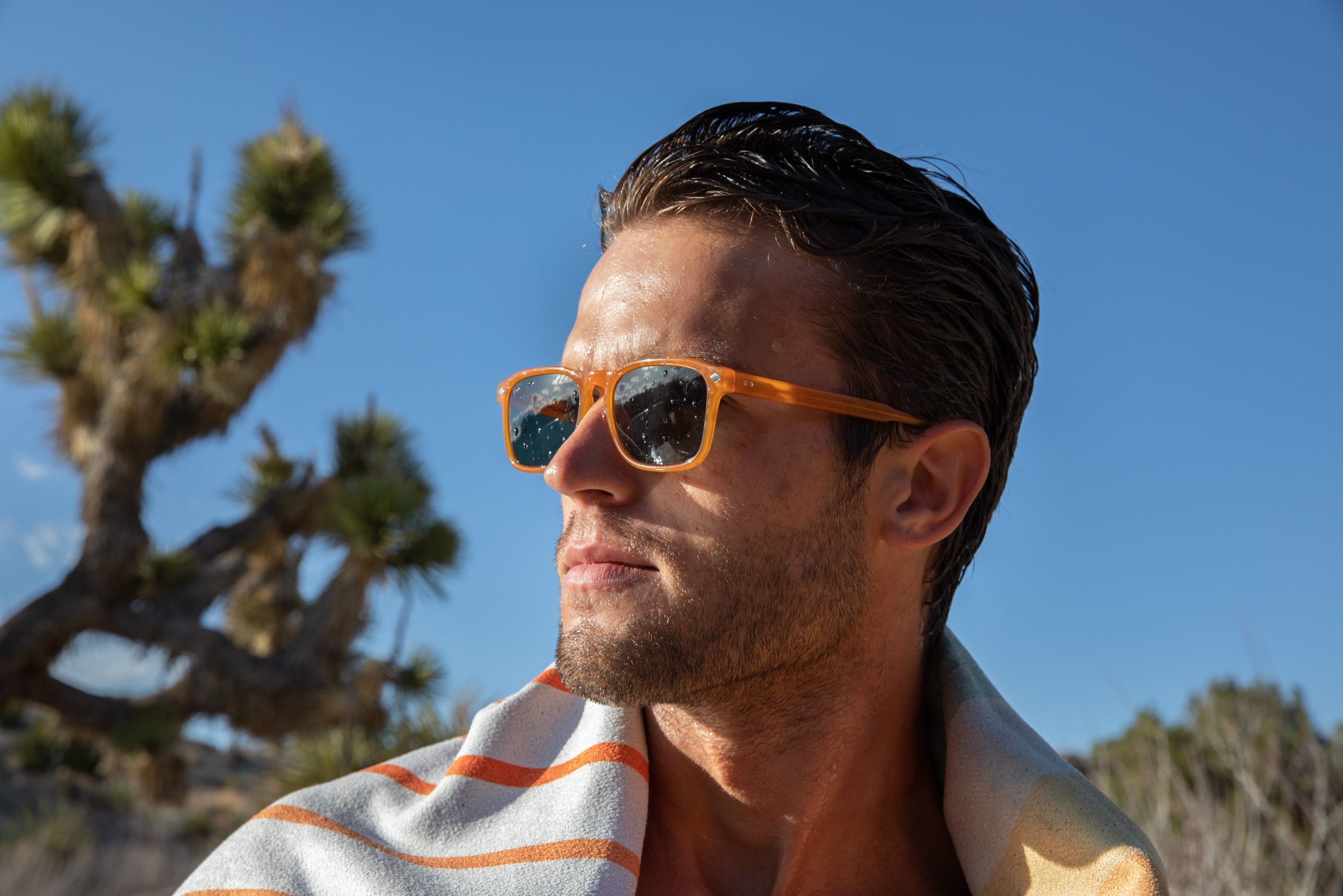 Largo Polarized Sunglasses - Plant-Based Frames