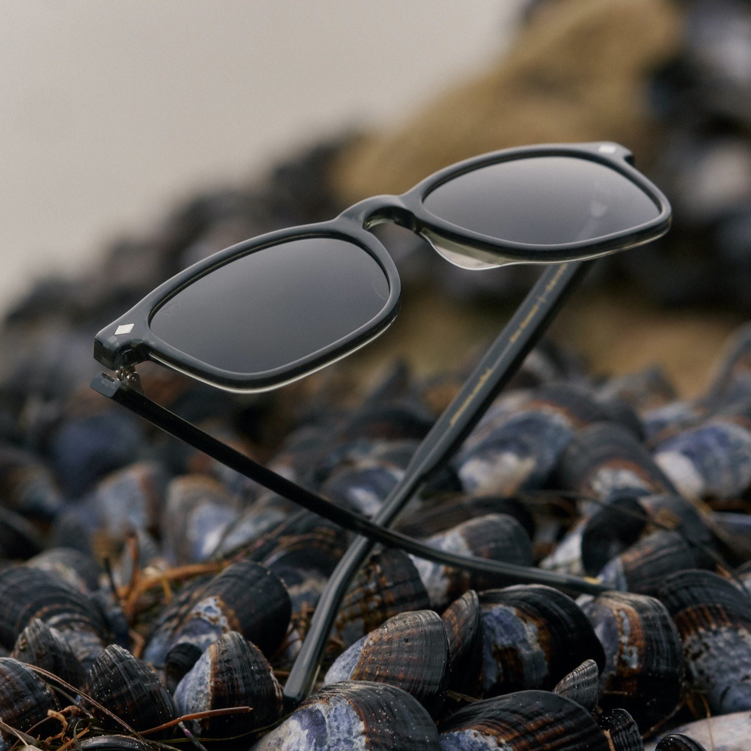 Largo Polarized Sunglasses - Plant-Based Frames